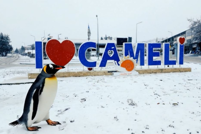 Sürüden ayrılan nihilist penguen Çameli'ye uğradı