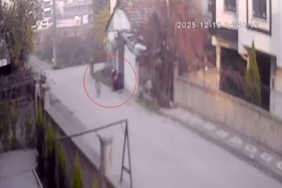 Bebek arabasından 2 milyon liralık altın çaldı