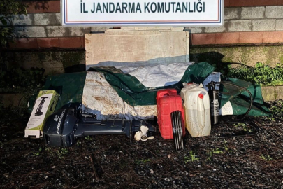 Düzensiz göçmenler zeytinlik alanda yakalandı