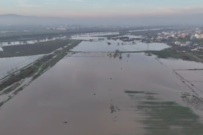 Bursa'da binlerce dekar ekili alan sular altında