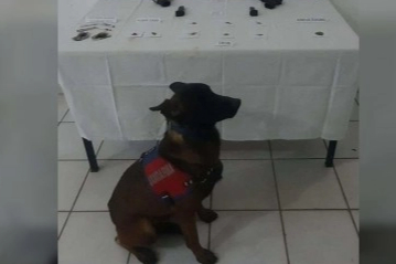 Uyuşturucu operasyonu: 19 şüpheli gözaltına alındı