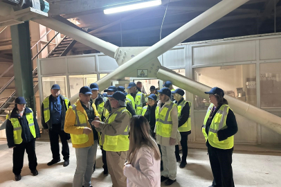 ABD Türk tavuğunun peşinde