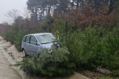 Yoldan çıkan otomobil ağaca çarptı; 2 kişi yaralandı