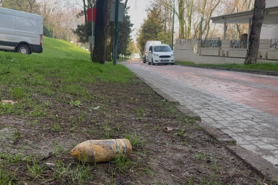 Bursa'da "pes" dedirten olay