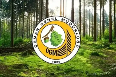 ORMAN AMENAJMAN PLANI VE HARİTALARININ YAPIM İŞLERİNE AİT DANIŞMANLIK HİZMETİ ALINACAKTIR