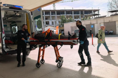 Bursa'da  ceviz ağacından düşen yaşlı adam ağır yaralandı