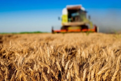 Tarım-ÜFE yıllık yüzde 43,58 arttı