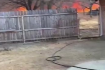 ABD'de orman yangını: 153 bin dönümden fazla alan kül oldu