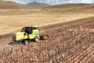 Tarımsal girdi fiyat endeksi yıllık yüzde 33,15 arttı