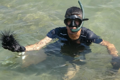 Marmara'nın denizkestanesi avcılığına açılmasına tepki