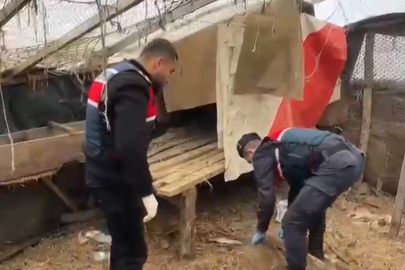 Jandarma, kümese saklanan uyuşturucuyu ele geçirdi