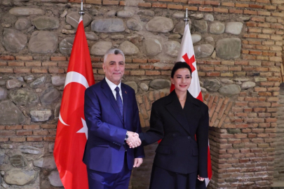 Bakan Bolat, Gürcistanlı mevkidaşı ile görüştü