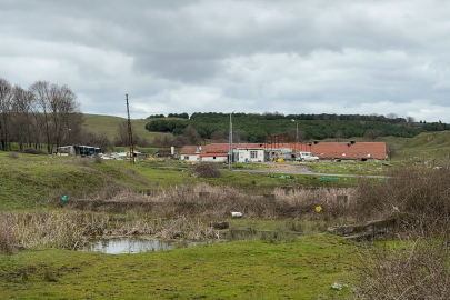 Elektrikli testereli saldırı: Çiftlik evinde dehşet