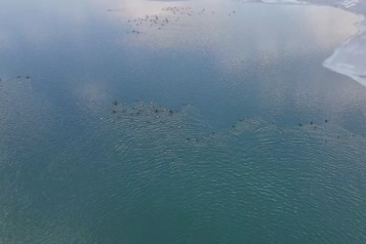 Nazik Gölü’nde buzlar çözüldü, ördeklerin dansı hayran bıraktı