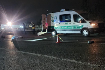 Bursa'da aracın çarptığı yaya hayatını kaybetti