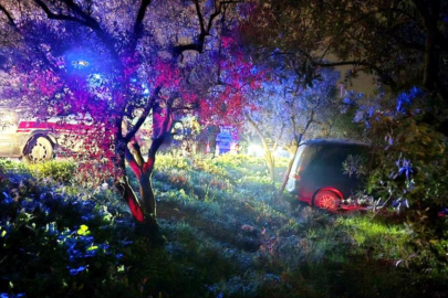 Mudanya’da kazadan kaçan sürücü zeytinliğe daldı