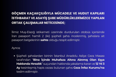 Sahte pasaportlu 2 şüpheli yakalandı