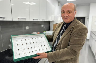 Böcekler cinayetleri aydınlatıyor