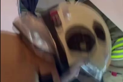 Camide görülen yılan yakalandı