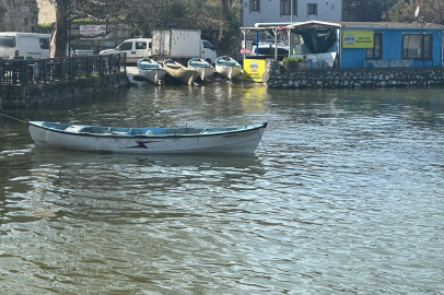 Turna severlere Uluabat Gölü'nden güzel haber