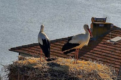 Beklenen buluşma gerçekleşti