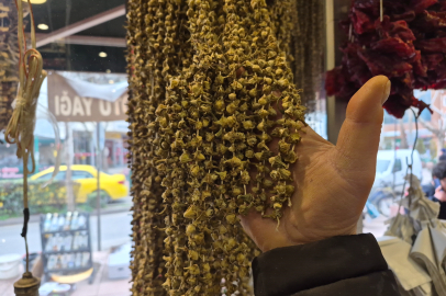 Fiyatıyla dikkat çeken kurutulmuş bamya 3 bin 500 TL'ye satılıyor