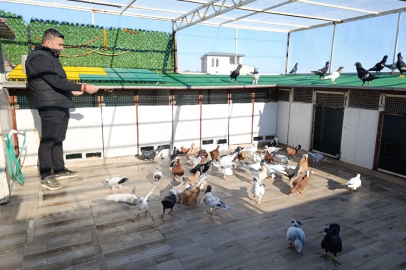 Memurluğu bırakıp güvercin yetiştiricisi oldu
