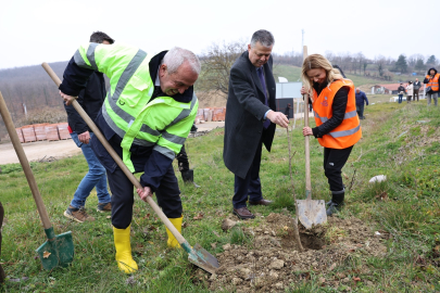 Unçukuru Mahallesi'nde atıl arazi Umut Ormanı'na dönüşüyor