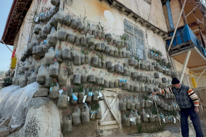 Bahçede yetiştiremeyince çözümü evinin duvarında buldu