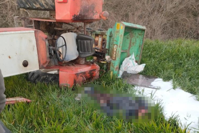 Tarlaya gübre atmaya giderken canından oldu