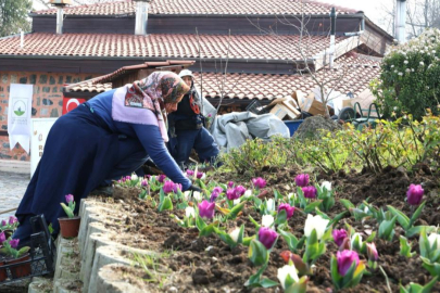 Osmangazi Belediyesi’nden ilçeyi güzelleştiren hizmet