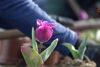 Osmangazi’nin her bir noktası çiçek açtı