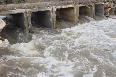 Kuruyan dere coştu, İznik Gölü’ne umut oldu