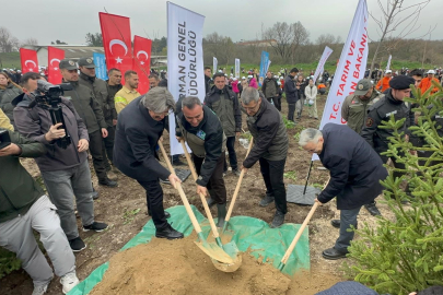 Bursa'da 2 yıl önce yanan 80 hektarlık alan ağaçlandırıldı