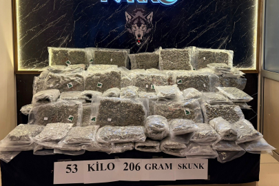 Tırda 53 kilogram uyuşturucu ele geçirildi