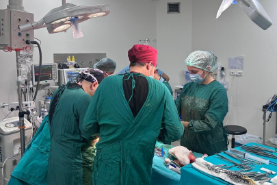 Bursa organ bağışında Türkiye'nin 'umut başkenti' oldu