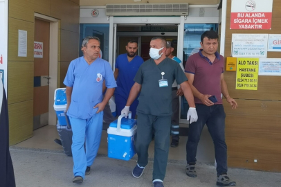 Organlarıyla 4 kişiye umut oldu