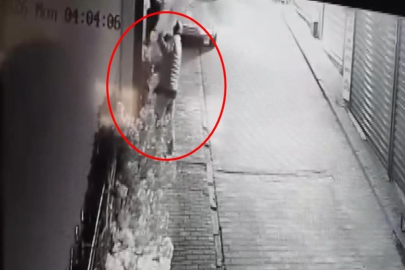 Bursa'da süs ağacını söküp kayıplara karıştı