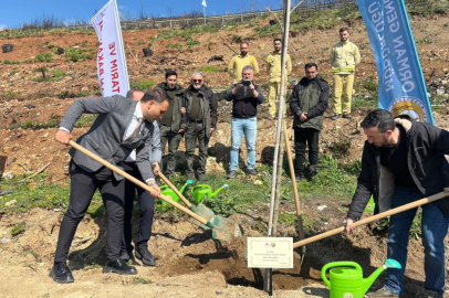 Bursa'da yanan ormanlar 8 ayda ilmek ilmek işlendi