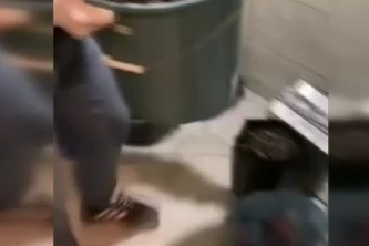 Evlerinde saksı içerisinde kenevir yetiştiren tacirlere operasyon