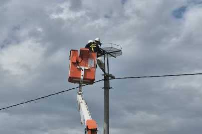 Ölüm hattıydı, yuvalara dönüştü: Bini aştı