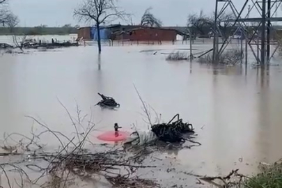 Sağanak Bursa’yı vurdu: Tarlalar göle döndü, hayvanlar mahsur kaldı
