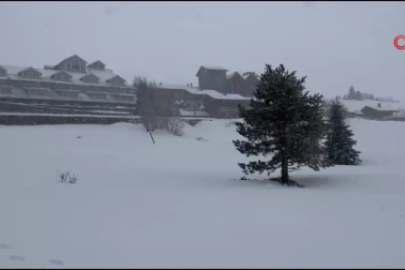 Uludağ'da günübirlikçiler zirveye akın etti