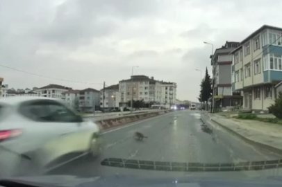Yoldan geçerken arabanın altında kalan kedi koşarak kaçtı