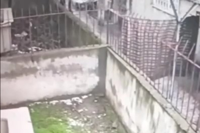 Ev fareleri kameraya yakalandı