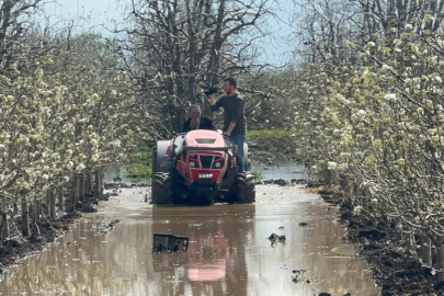 Bursa'da yüzlerce dönüm şeftali ve armut bahçesi su altında