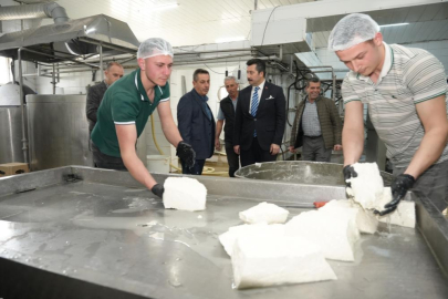 Bursa'da her gün 3,5 ton sütten 12 çeşit peynir üretiyorlar