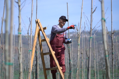 Kestel’de bahar dokunuşu