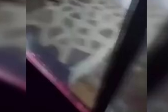 Uludağ’da ayı ailesi kamerada