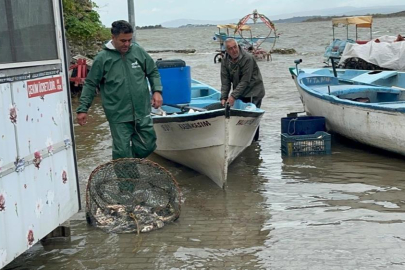 Ulubat Gölü'nde turna sezonu pahalı açıldı